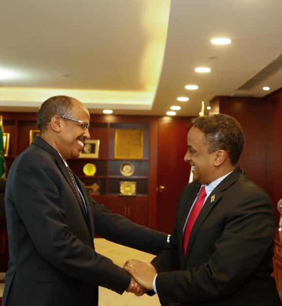 Chargé d’Affaires of the Embassy of the State of Eritrea paid a courtesy call on the AUC Chairperson