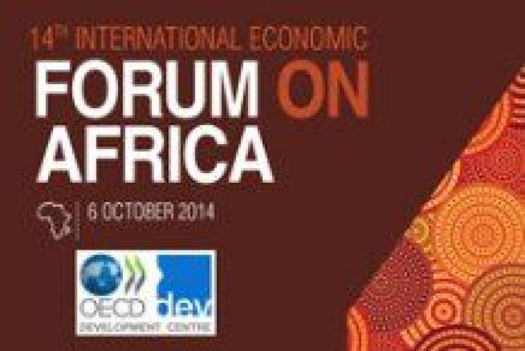 Africa Forum 2014, Paris, France