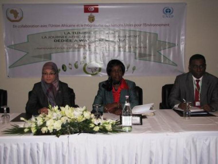 African Union Commemorates the Africa Environment Day and Wangari Maathai Day, Tunis, Republic of Tunisia, 3-4 March 2013