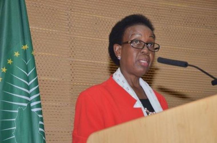 Opening Statement by H.E. Tumusiime Rhoda Peace Commissioner for Rural Economy and Agriculture African Union Commission on the occasion of the meeting of Experts preparing for the Ministerial Session of the Specialised Technical Committee (STC) on Agricul