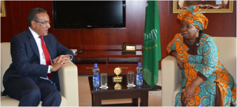 Mining and commodities: Africa to speak and act as one
