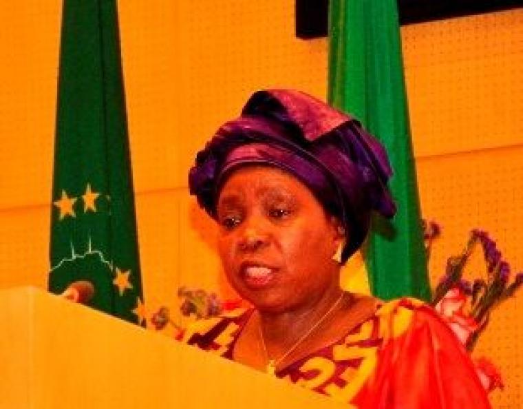 Re-orientate medical training, focus on lifestyle, environment, nutrition –  Dr. Nkosazana Dlamini Zuma