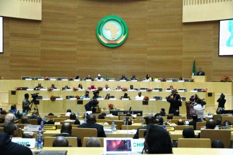 African Union Commission’s Strategic Plan 2014-2017 adopted by Assembly