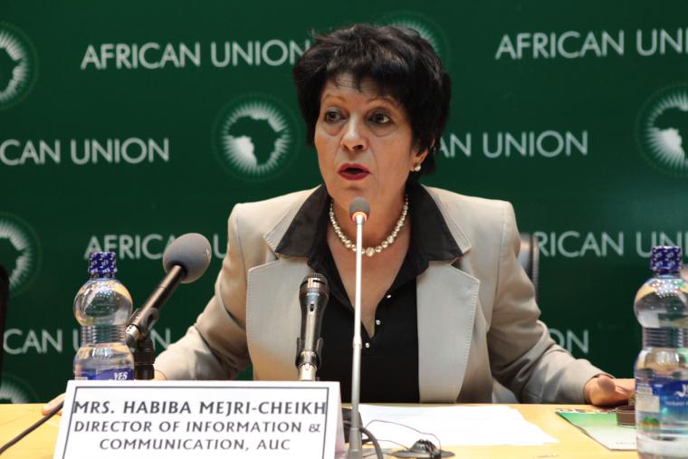 Press Briefing of the Director of Information and Communication of the AU Commission