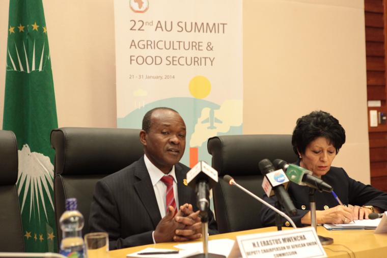 Press briefing of Deputy Chairperson of the AUC