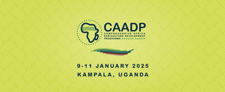 CAADP Extraordinary Summit 2025