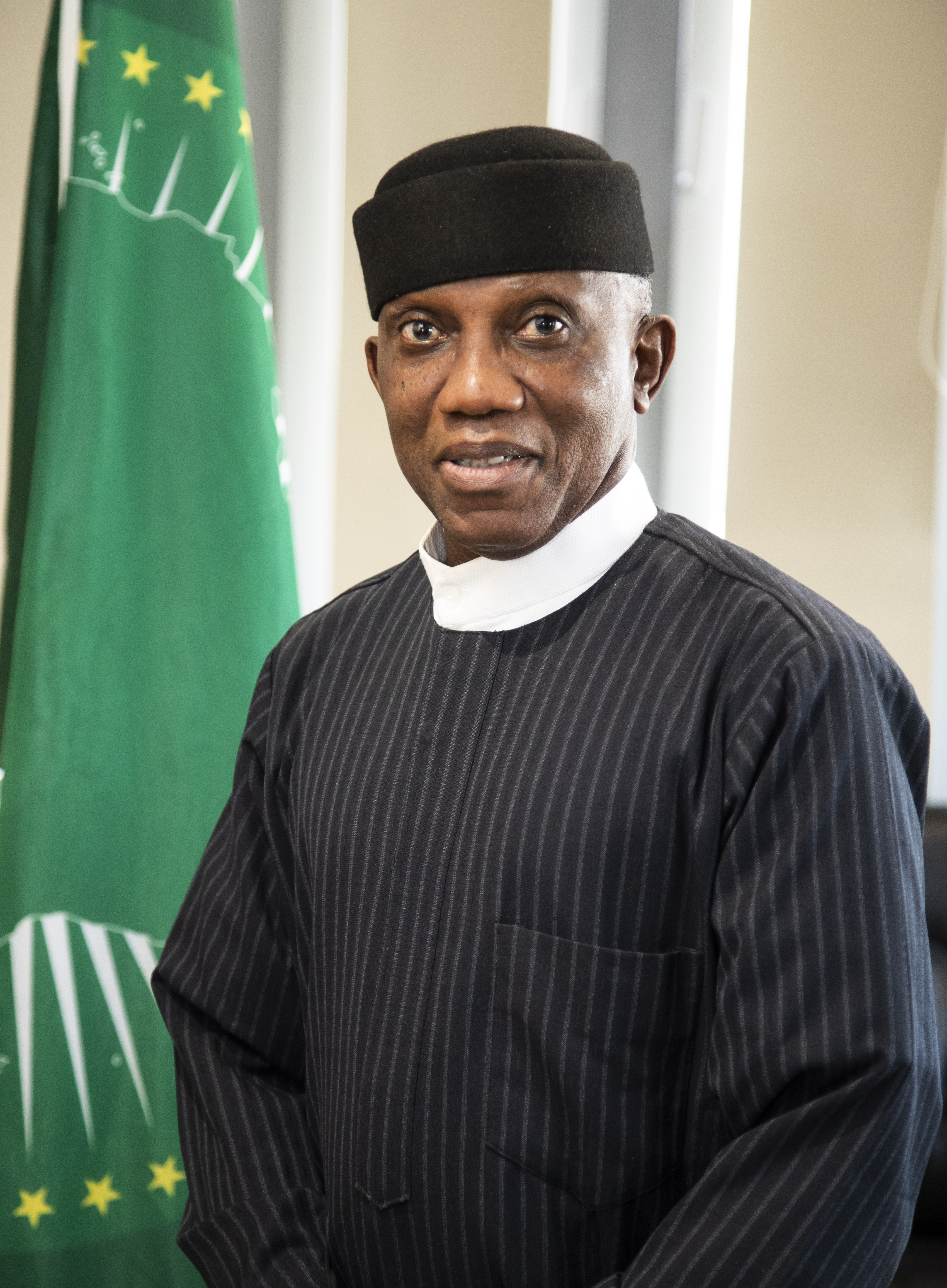 H.E. Amb. Bankole Adeoye